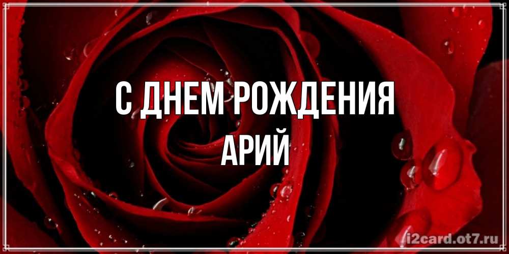 Открытка на каждый день с именем, Арий С днем рождения крупная бордовая роза Прикольная открытка с пожеланием онлайн скачать бесплатно 