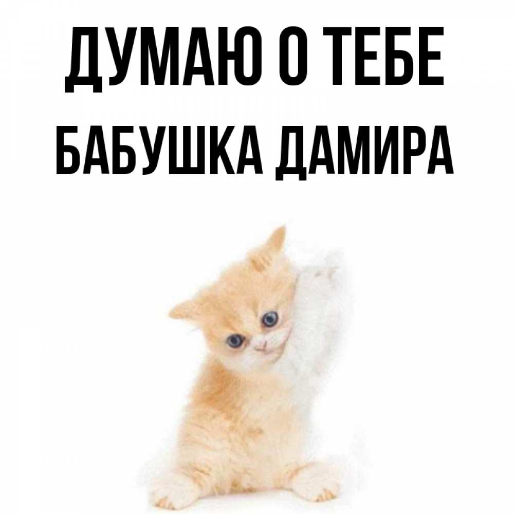 Открытка на каждый день с именем, Бабушка-Дамира Думаю о тебе зверушки и милота Прикольная открытка с пожеланием онлайн скачать бесплатно 