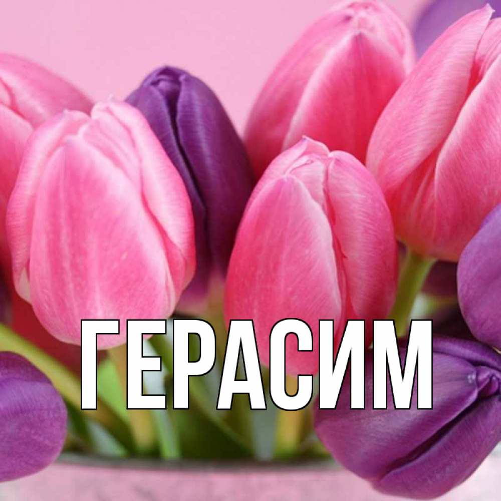 Открытка на каждый день с именем, Герасим Главная маме 1 Прикольная открытка с пожеланием онлайн скачать бесплатно 
