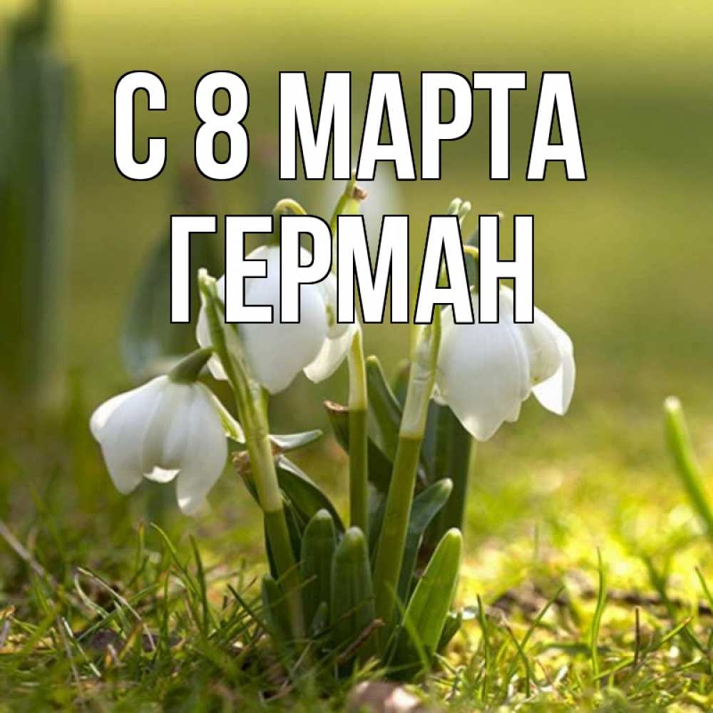 Открытка на каждый день с именем, Герман С 8 МАРТА ранние цветы 2 Прикольная открытка с пожеланием онлайн скачать бесплатно 