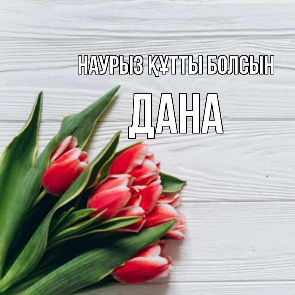 Открытка на каждый день с именем, Дана Наурыз құтты болсын весна 2 Прикольная открытка с пожеланием онлайн скачать бесплатно 