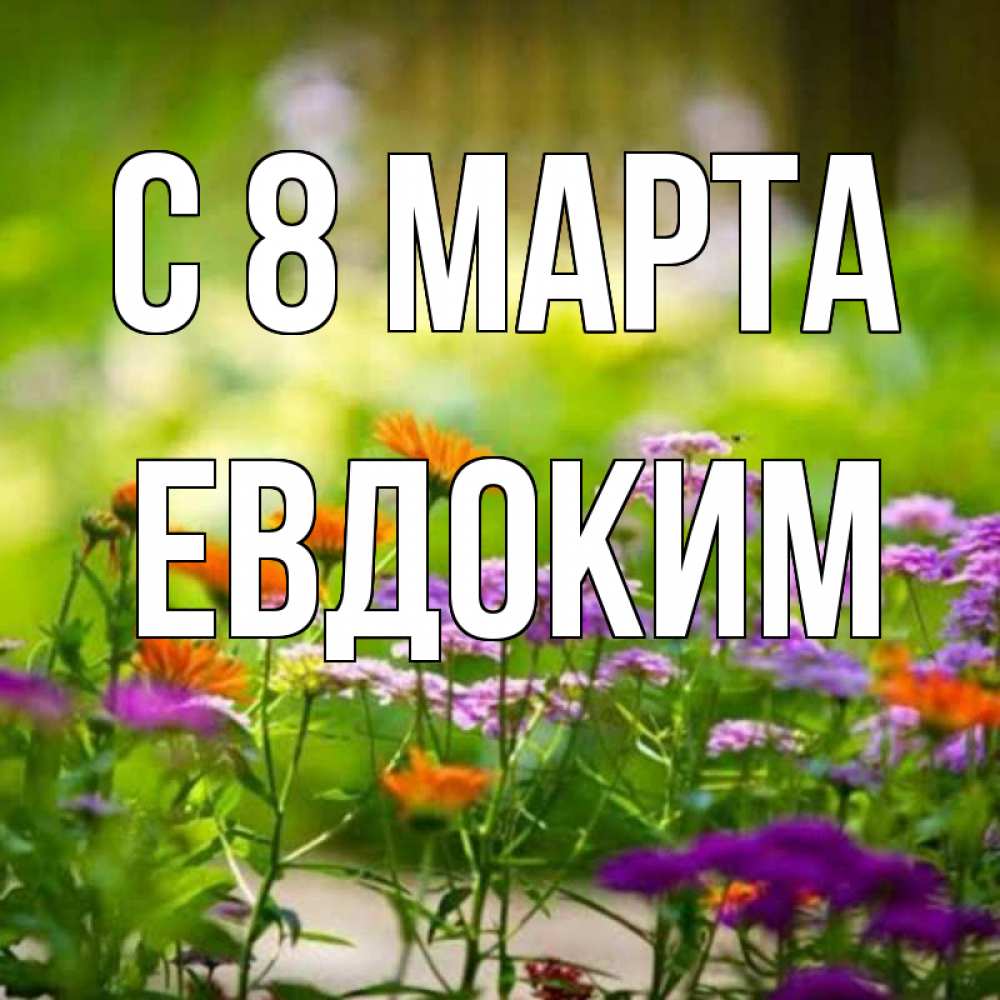 Открытка на каждый день с именем, Евдоким С 8 марта цветы Прикольная открытка с пожеланием онлайн скачать бесплатно 