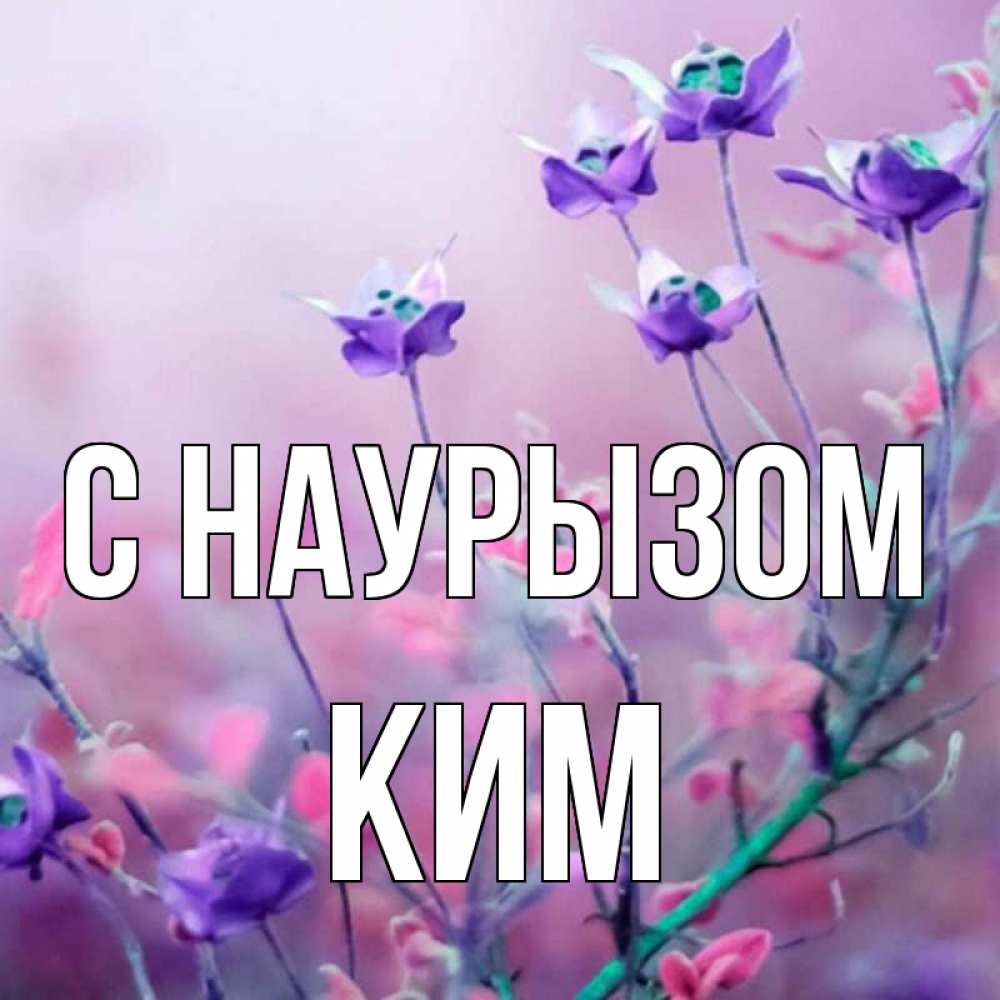 Открытка на каждый день с именем, Ким С наурызом международный женский день 2 Прикольная открытка с пожеланием онлайн скачать бесплатно 