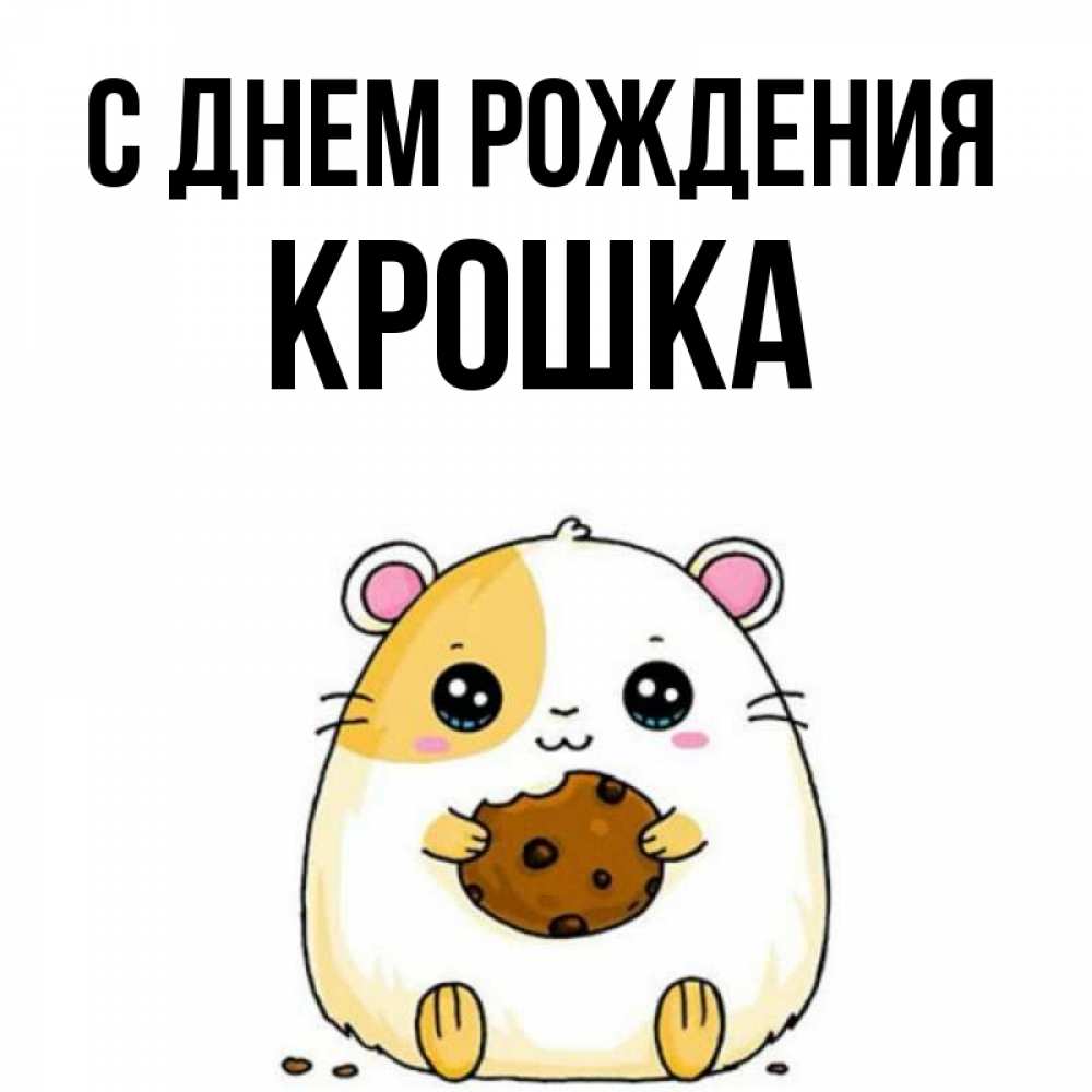 Открытка на каждый день с именем, Крошка С днем рождения с днюхой Прикольная открытка с пожеланием онлайн скачать бесплатно 