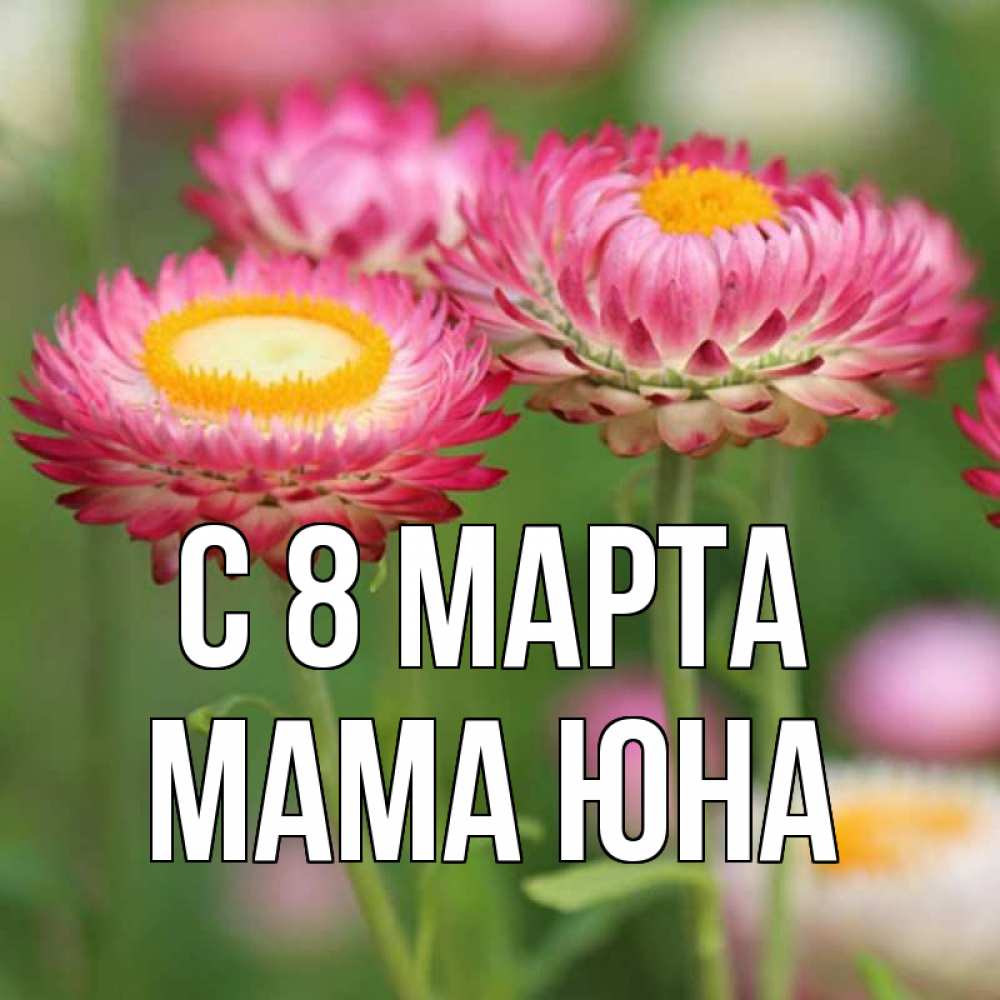 Открытка на каждый день с именем, Мама-Юна С 8 МАРТА подарок на международный женский день Прикольная открытка с пожеланием онлайн скачать бесплатно 