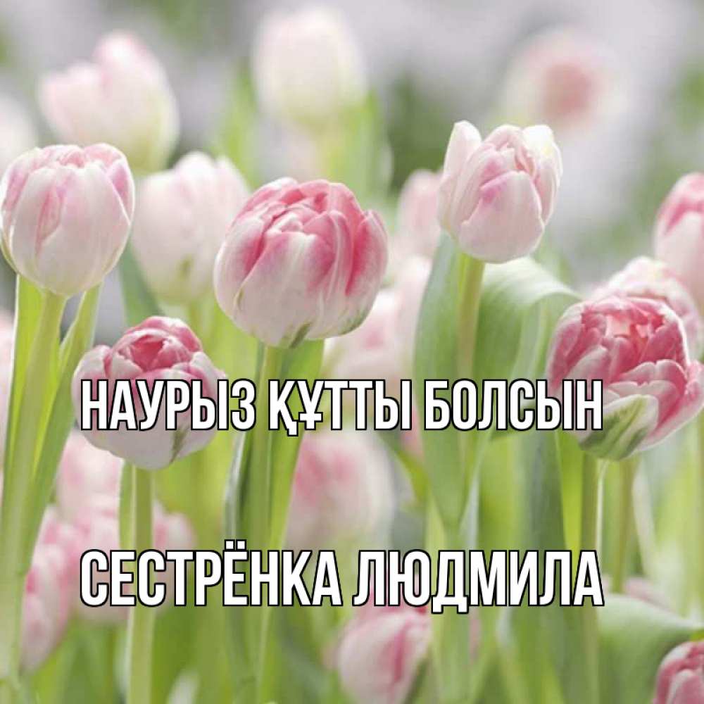 Открытка на каждый день с именем, Сестрёнка-Людмила Наурыз құтты болсын цветы Прикольная открытка с пожеланием онлайн скачать бесплатно 