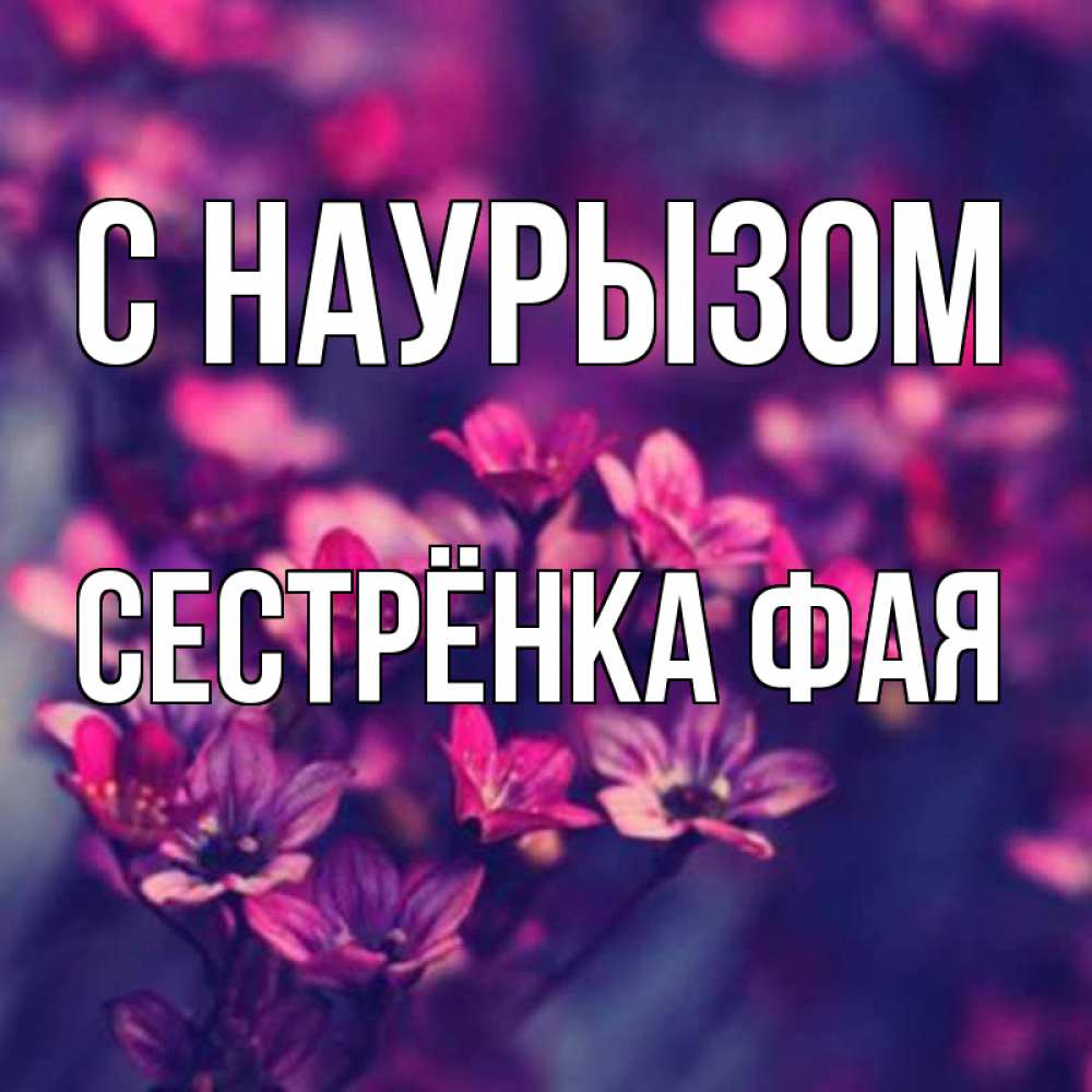 Открытка на каждый день с именем, Сестрёнка-Фая С наурызом небольшие цветы 1 Прикольная открытка с пожеланием онлайн скачать бесплатно 