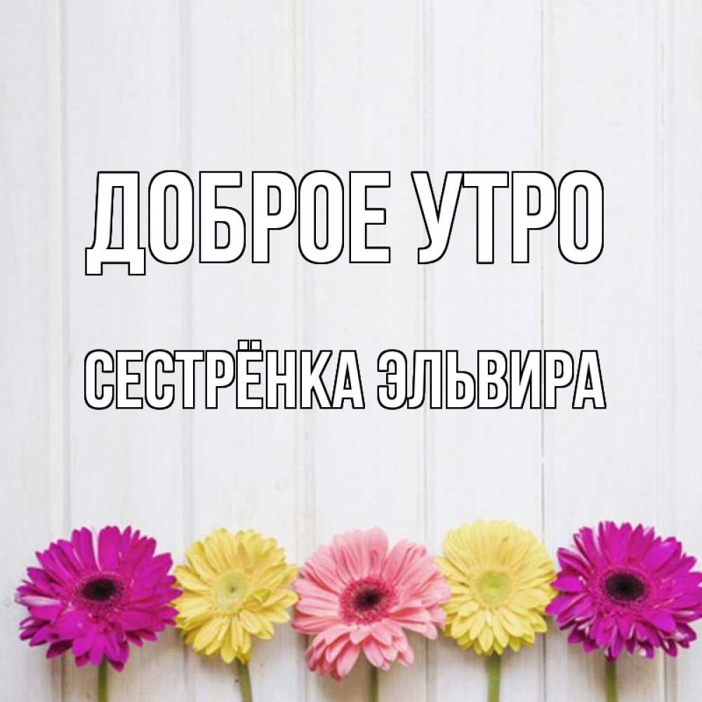 Открытка на каждый день с именем, Сестрёнка-Эльвира Доброе утро красный желтый и розовый цветок Прикольная открытка с пожеланием онлайн скачать бесплатно 