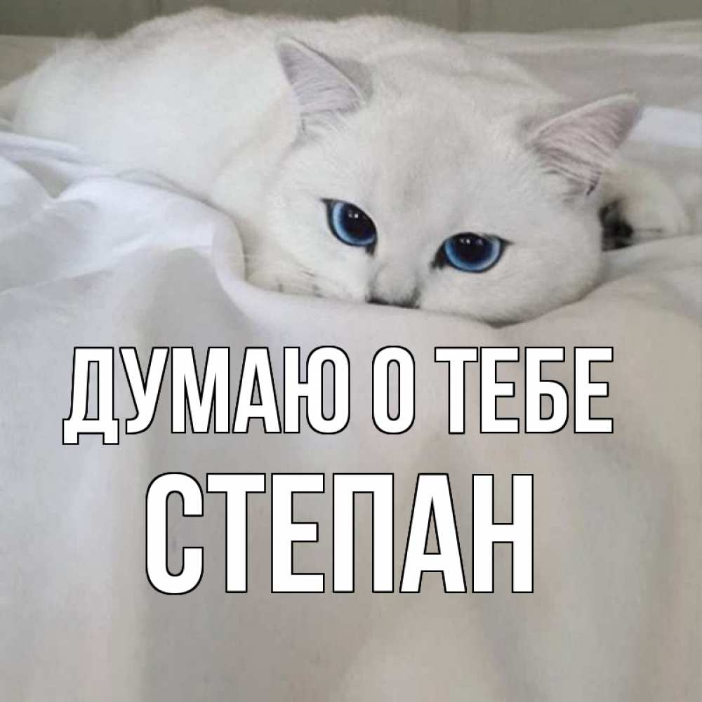 Открытка на каждый день с именем, Степан Думаю о тебе я очень по тебе скучаю и тоскую Прикольная открытка с пожеланием онлайн скачать бесплатно 