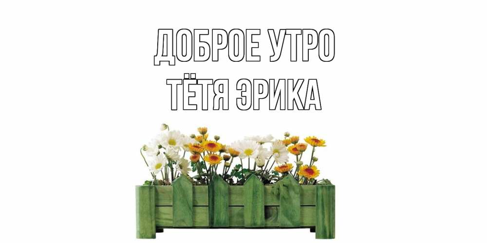 Открытка на каждый день с именем, Тётя-Эрика Доброе утро цветы Прикольная открытка с пожеланием онлайн скачать бесплатно 