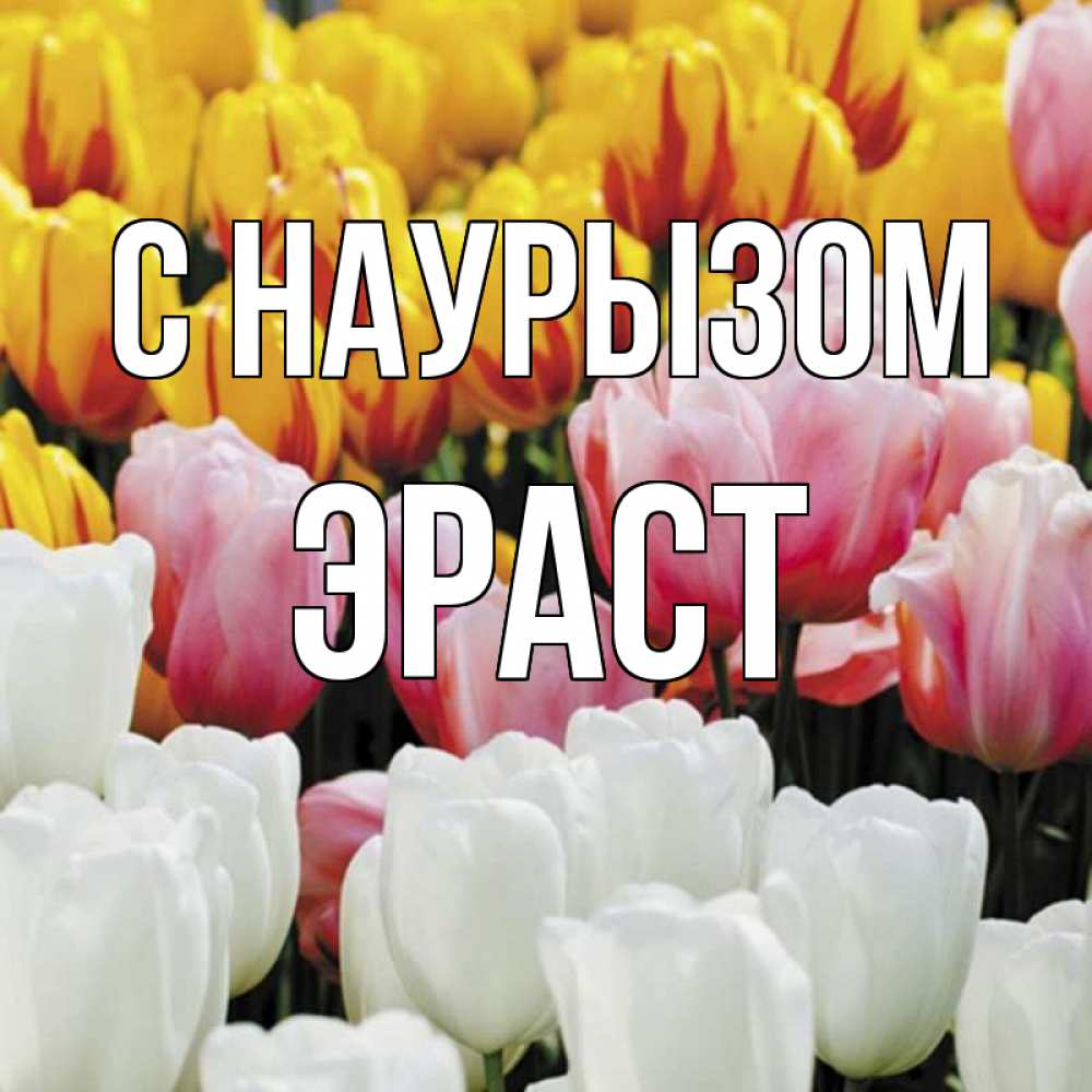 Открытка на каждый день с именем, Эраст С наурызом разноцветные цветы Прикольная открытка с пожеланием онлайн скачать бесплатно 