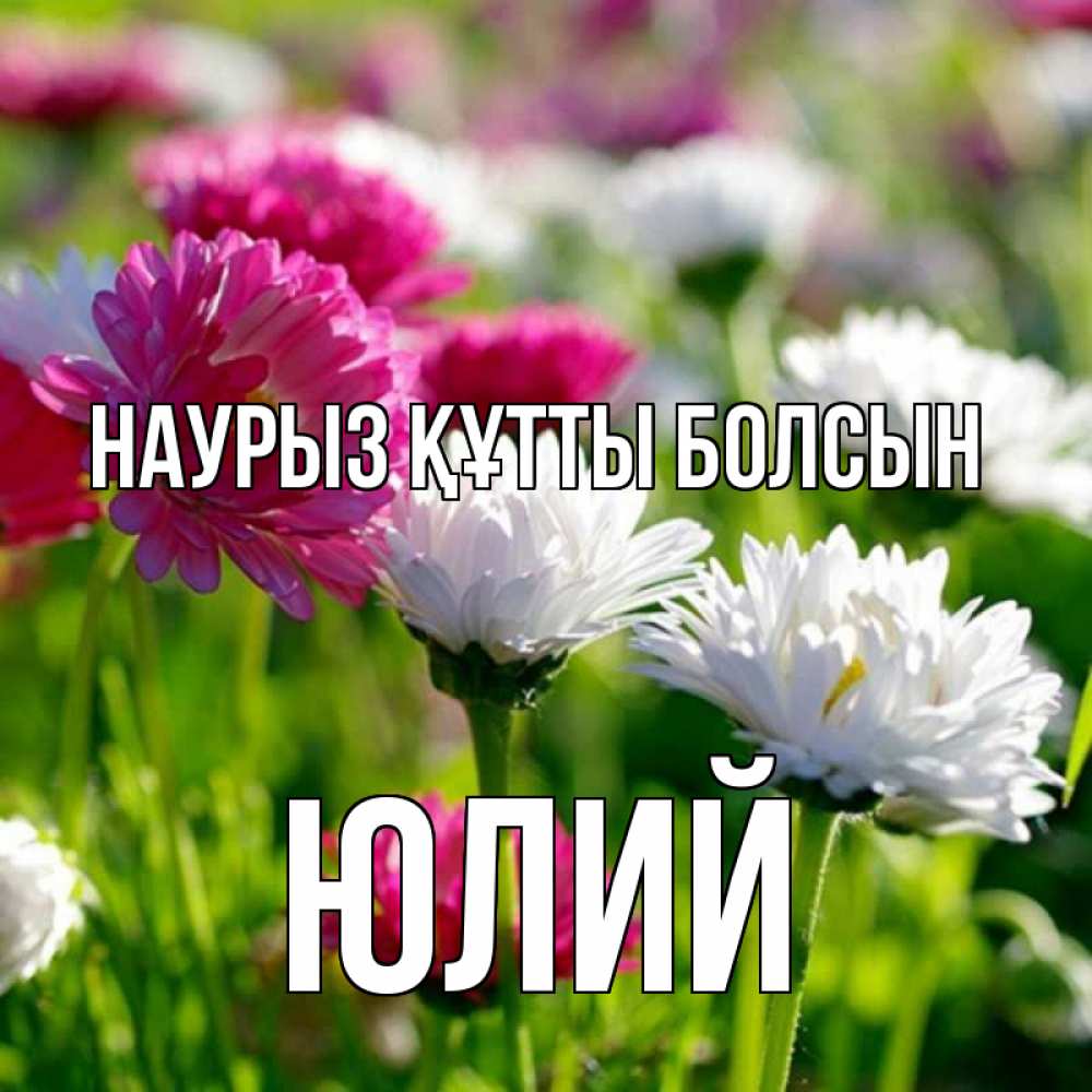 Открытка на каждый день с именем, Юлий Наурыз құтты болсын наурыз Прикольная открытка с пожеланием онлайн скачать бесплатно 