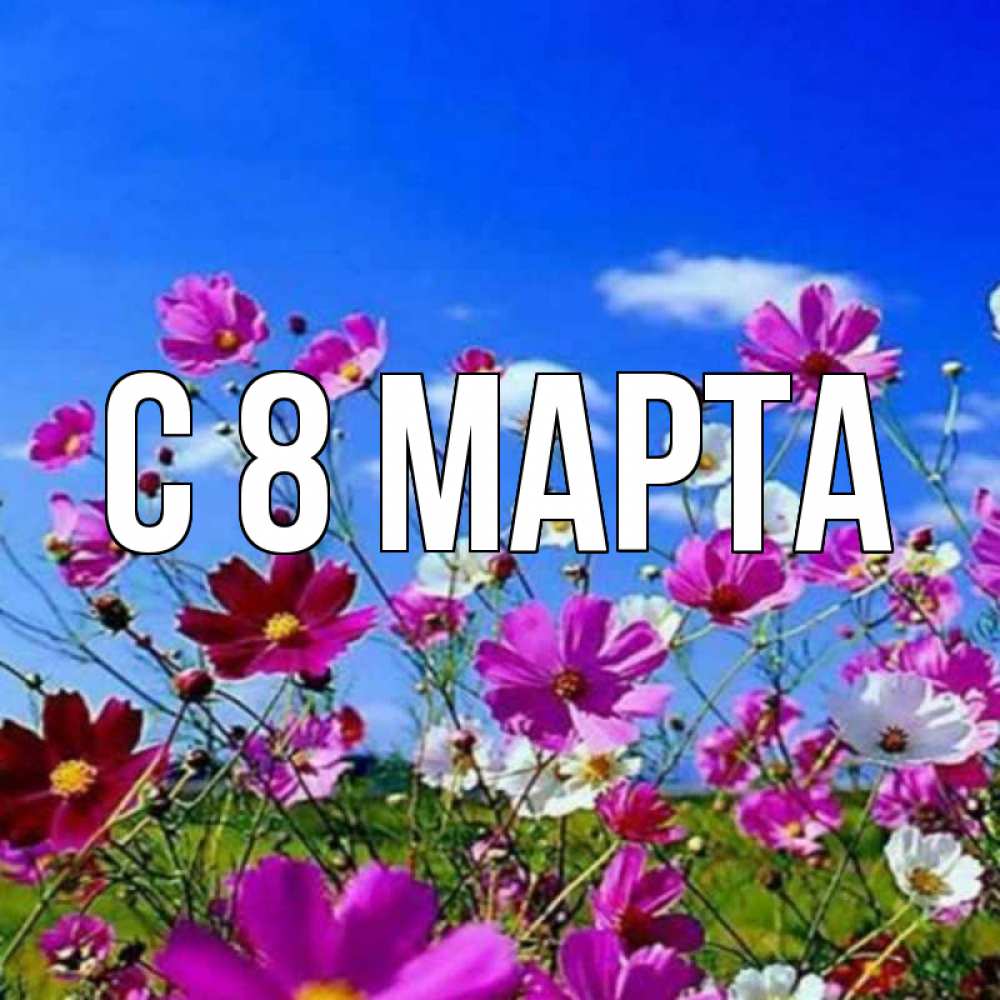 Открытка на каждый день с именем, выберите-имя С 8 МАРТА цветы Прикольная открытка с пожеланием онлайн скачать бесплатно 