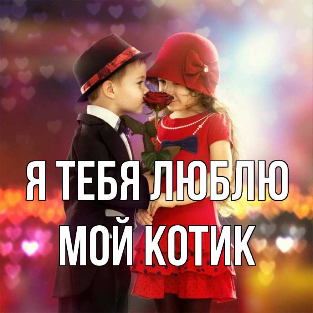 Открытка на каждый день с именем, мой-Котик Я тебя люблю черное и красное и роза Прикольная открытка с пожеланием онлайн скачать бесплатно 