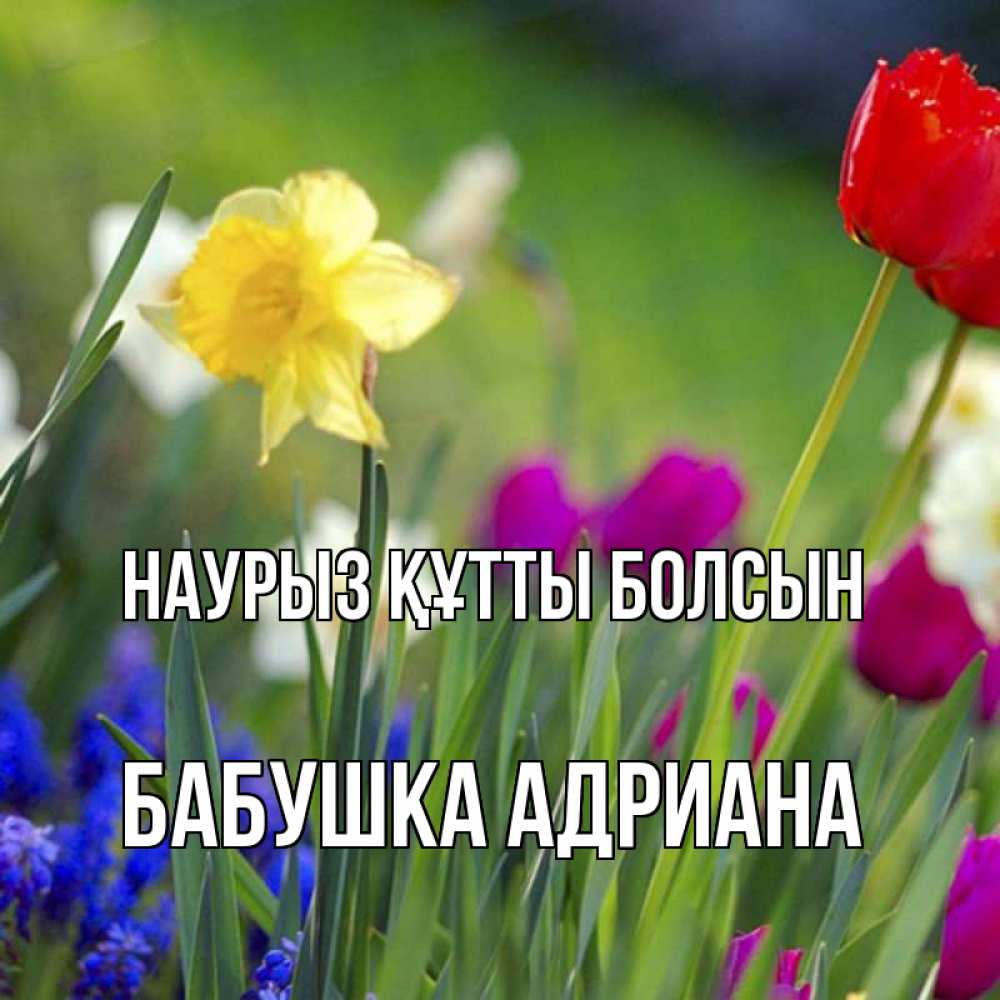 Открытка на каждый день с именем, Бабушка-Адриана Наурыз құтты болсын наурыз  3 открытки Прикольная открытка с пожеланием онлайн скачать бесплатно 