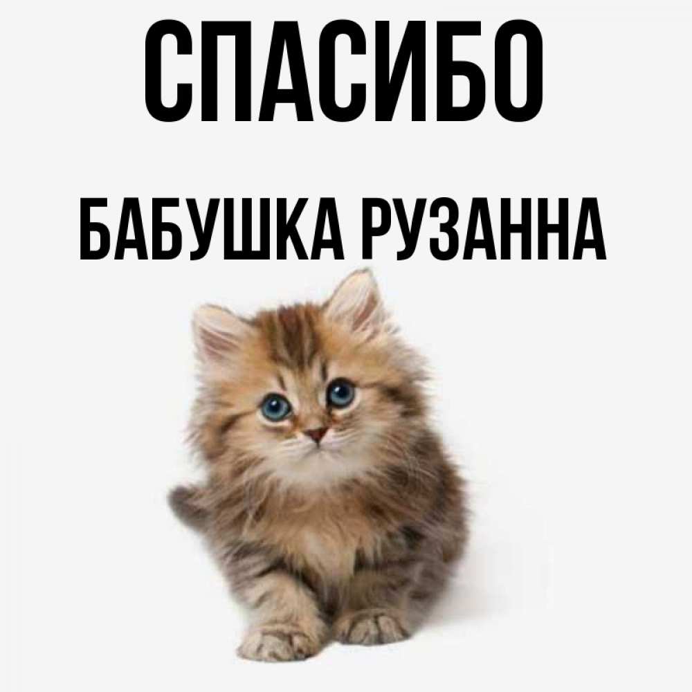 Открытка на каждый день с именем, Бабушка-Рузанна Спасибо пушистый котик Прикольная открытка с пожеланием онлайн скачать бесплатно 