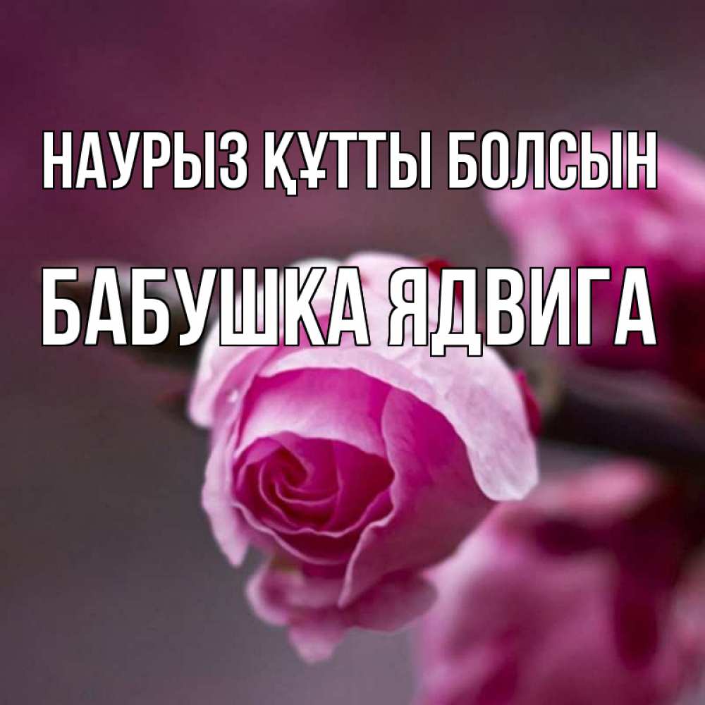 Открытка на каждый день с именем, Бабушка-Ядвига Наурыз құтты болсын весна Прикольная открытка с пожеланием онлайн скачать бесплатно 
