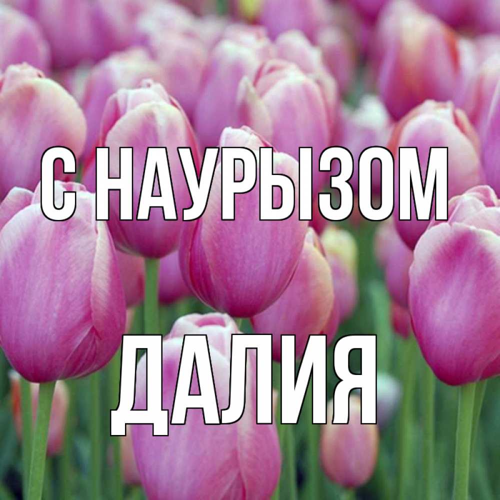 Открытка на каждый день с именем, Далия С наурызом праздник весны наурыз 69 Прикольная открытка с пожеланием онлайн скачать бесплатно 