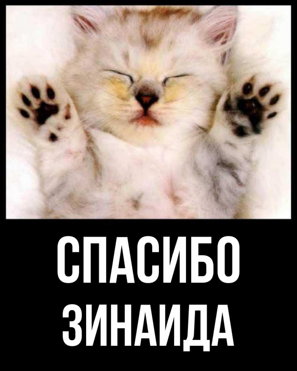 Открытка на каждый день с именем, Зинаида Спасибо маленький котенок Прикольная открытка с пожеланием онлайн скачать бесплатно 