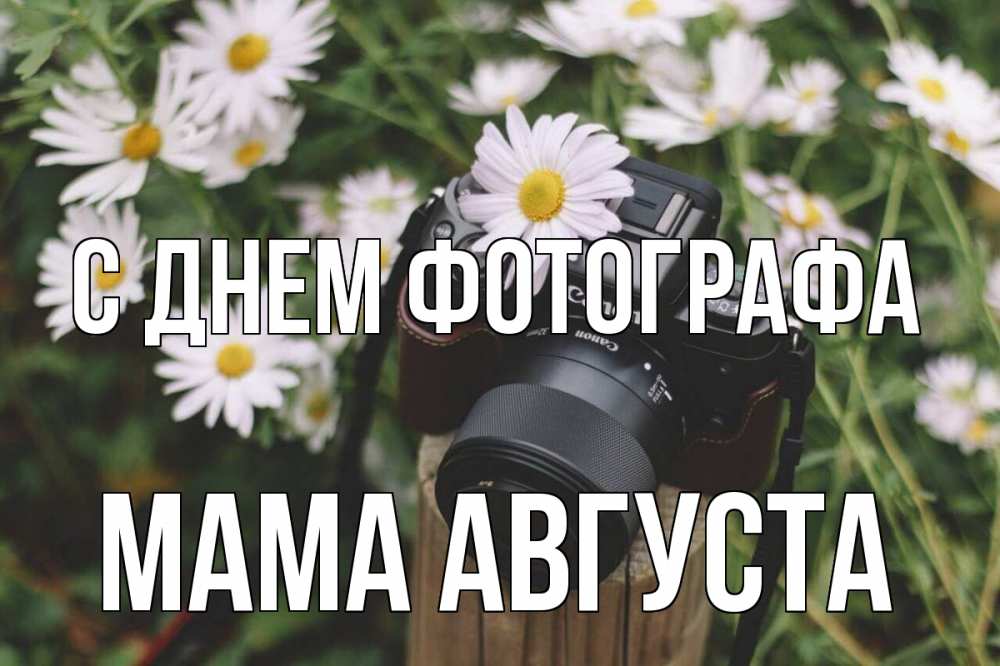 Открытка на каждый день с именем, Мама-Августа С днем фотографа с днем фотографа Прикольная открытка с пожеланием онлайн скачать бесплатно 