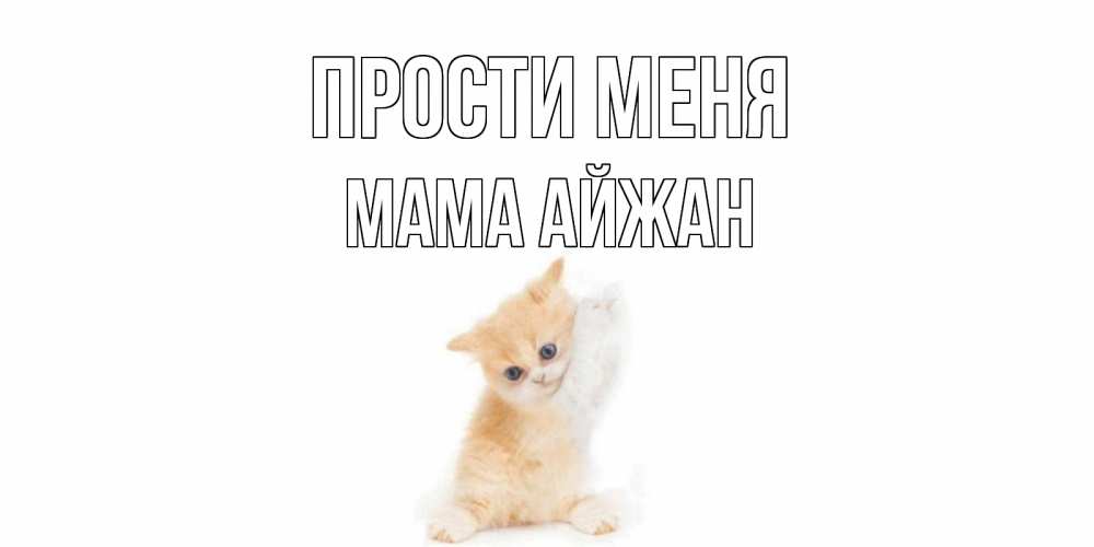 Открытка на каждый день с именем, Мама-Айжан Прости меня кот Прикольная открытка с пожеланием онлайн скачать бесплатно 
