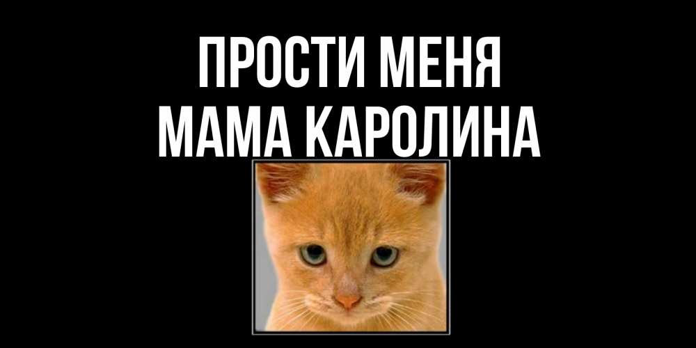 Открытка на каждый день с именем, Мама-Каролина Прости меня рыжий грустный кот просит прощения Прикольная открытка с пожеланием онлайн скачать бесплатно 
