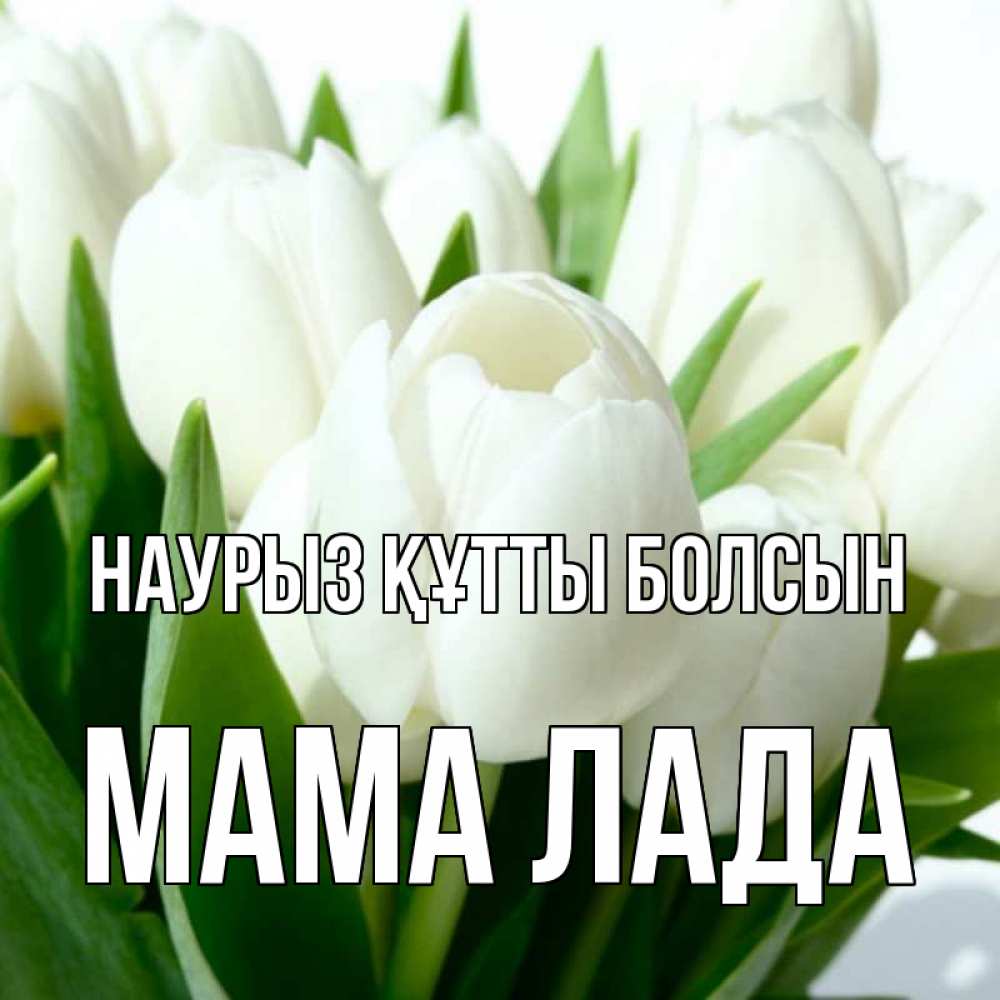 Открытка на каждый день с именем, Мама-Лада Наурыз құтты болсын цветы Прикольная открытка с пожеланием онлайн скачать бесплатно 