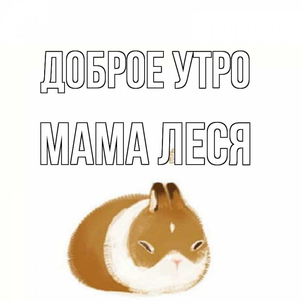 Открытка на каждый день с именем, Мама-Леся Доброе утро хорошего утречка Прикольная открытка с пожеланием онлайн скачать бесплатно 