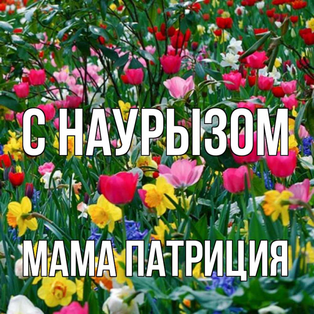 Открытка на каждый день с именем, Мама-Патриция С наурызом с наурызом праздником весны поздравления для женщины Прикольная открытка с пожеланием онлайн скачать бесплатно 