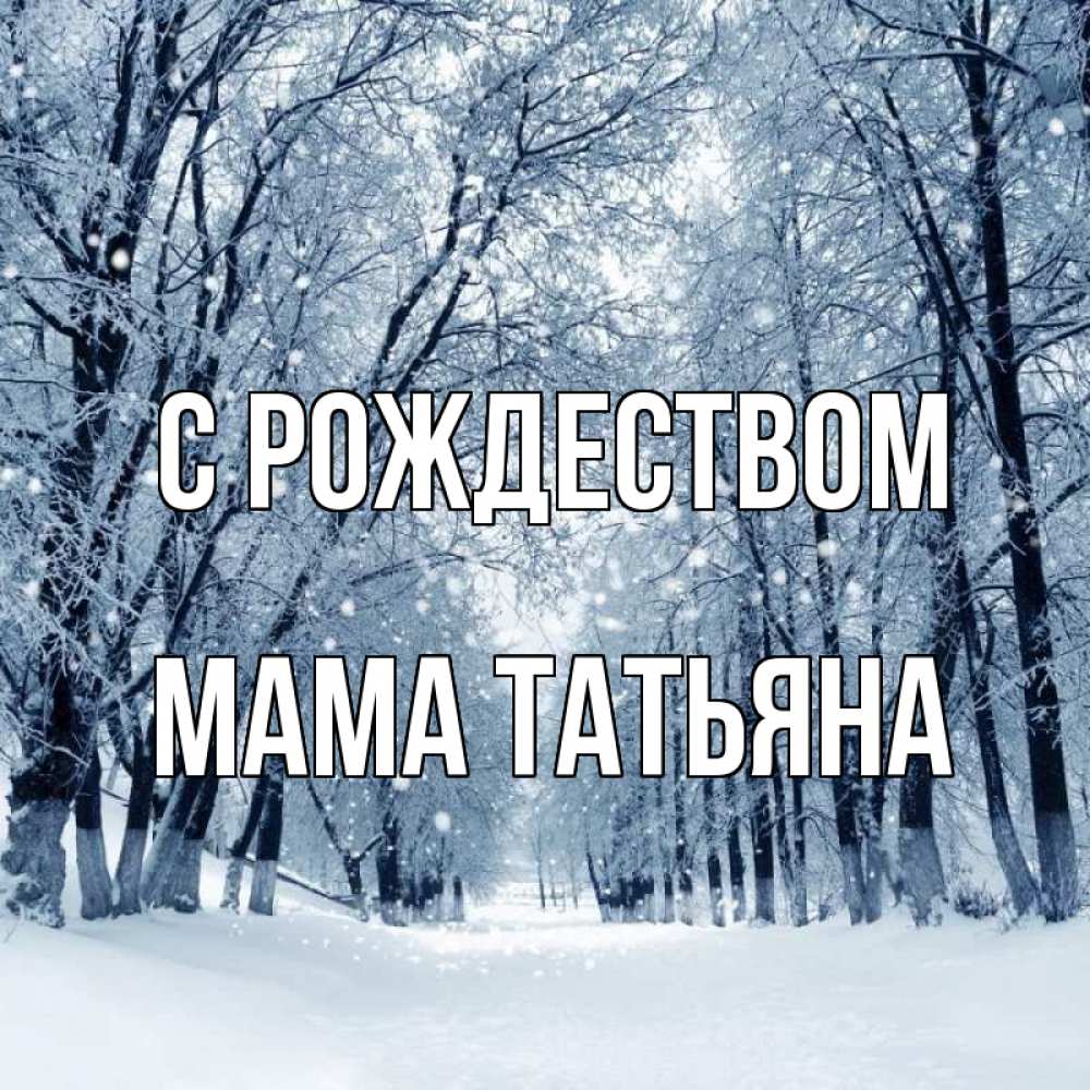 Открытка на каждый день с именем, Мама-Татьяна С рождеством снег, лес, парк Прикольная открытка с пожеланием онлайн скачать бесплатно 