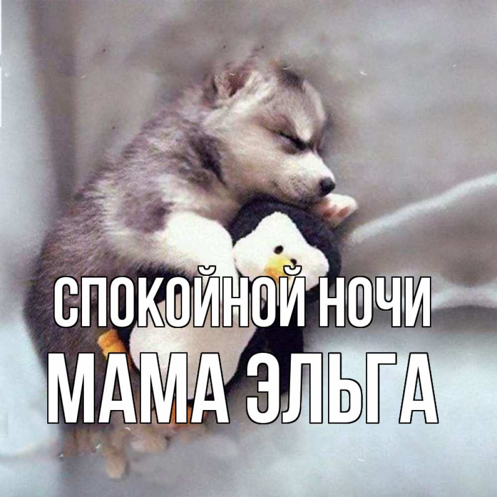 Открытка на каждый день с именем, Мама-Эльга Спокойной ночи обнимашки щенка и пингвина Прикольная открытка с пожеланием онлайн скачать бесплатно 
