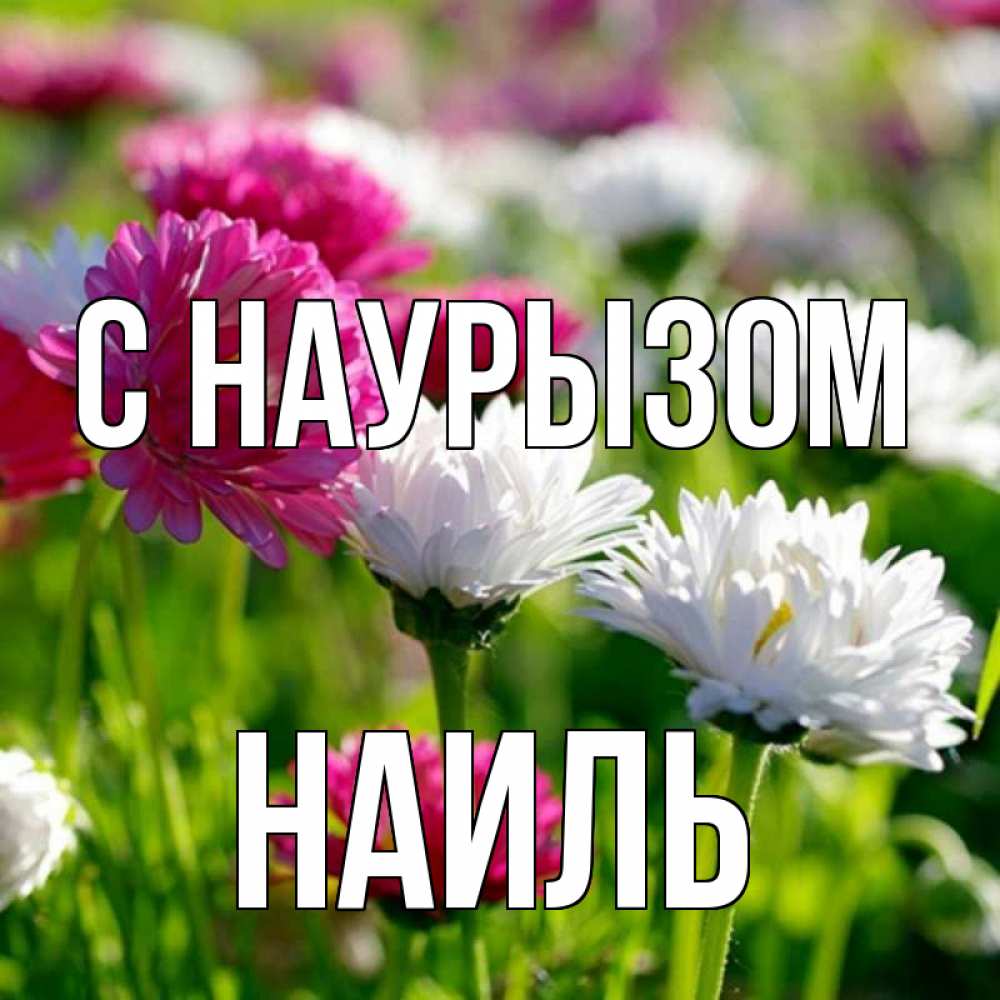 Открытка на каждый день с именем, Наиль С наурызом праздник весны наурыз красота Прикольная открытка с пожеланием онлайн скачать бесплатно 