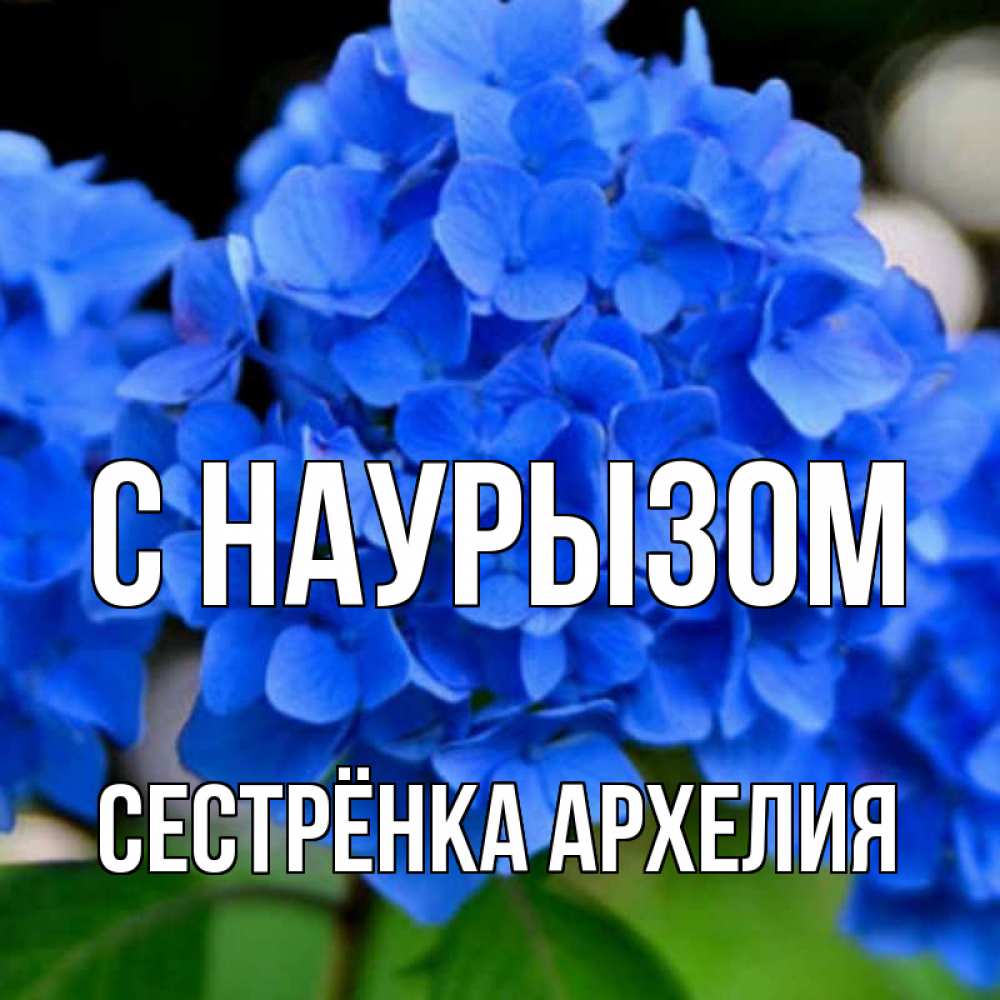 Открытка на каждый день с именем, Сестрёнка-Архелия С наурызом синие цветы Прикольная открытка с пожеланием онлайн скачать бесплатно 