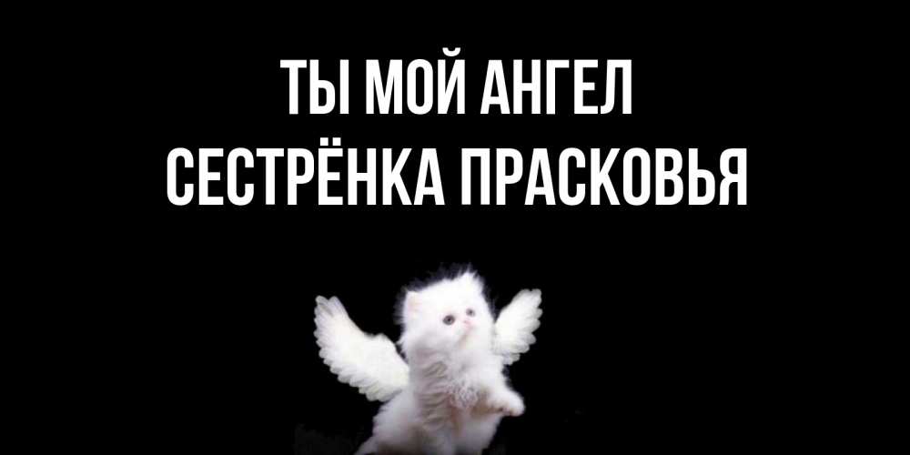 Открытка на каждый день с именем, Сестрёнка-Прасковья Ты мой ангел Кот ангел Прикольная открытка с пожеланием онлайн скачать бесплатно 