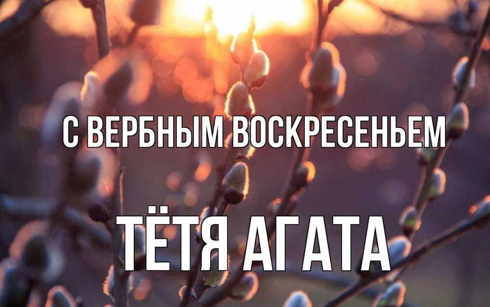 Открытка на каждый день с именем, Тётя-Агата С вербным воскресеньем верба Прикольная открытка с пожеланием онлайн скачать бесплатно 