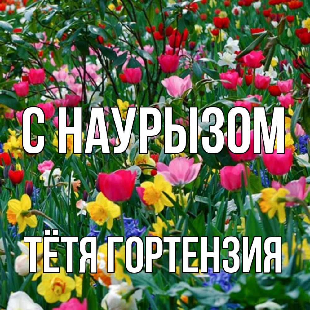 Открытка на каждый день с именем, Тётя-Гортензия С наурызом с наурызом праздником весны поздравления для женщины Прикольная открытка с пожеланием онлайн скачать бесплатно 