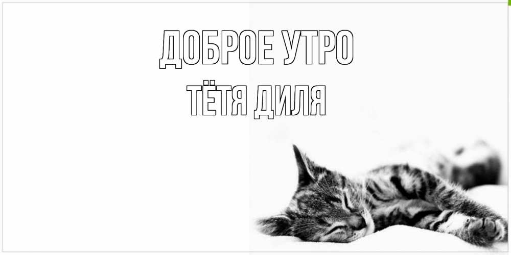 Открытка на каждый день с именем, Тётя-Диля Доброе утро котуся Прикольная открытка с пожеланием онлайн скачать бесплатно 