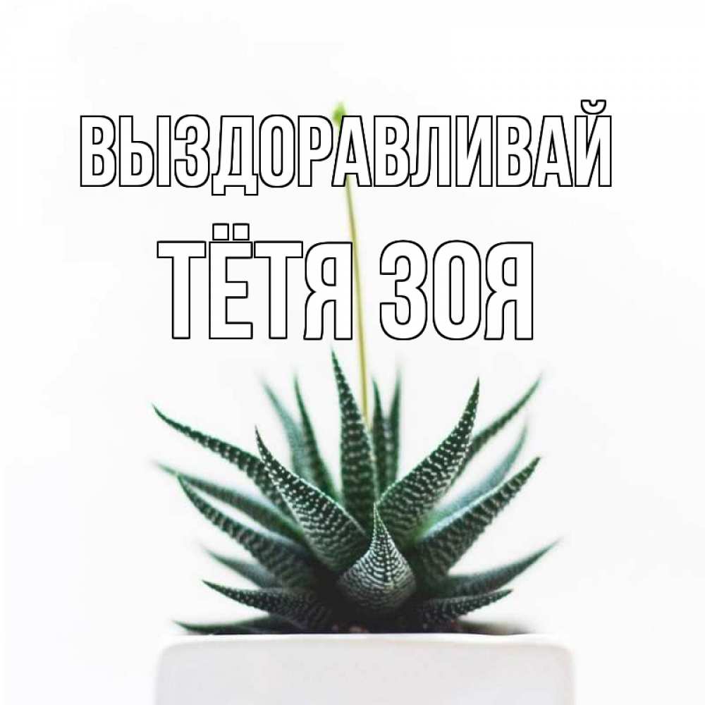 Открытка на каждый день с именем, Тётя-Зоя Выздоравливай короче это непонятная колючка Прикольная открытка с пожеланием онлайн скачать бесплатно 
