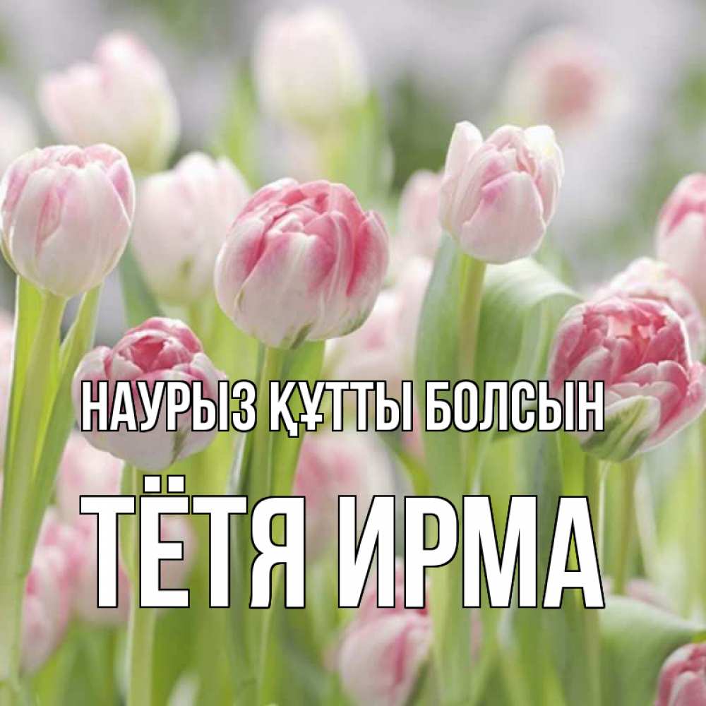 Открытка на каждый день с именем, Тётя-Ирма Наурыз құтты болсын цветы Прикольная открытка с пожеланием онлайн скачать бесплатно 
