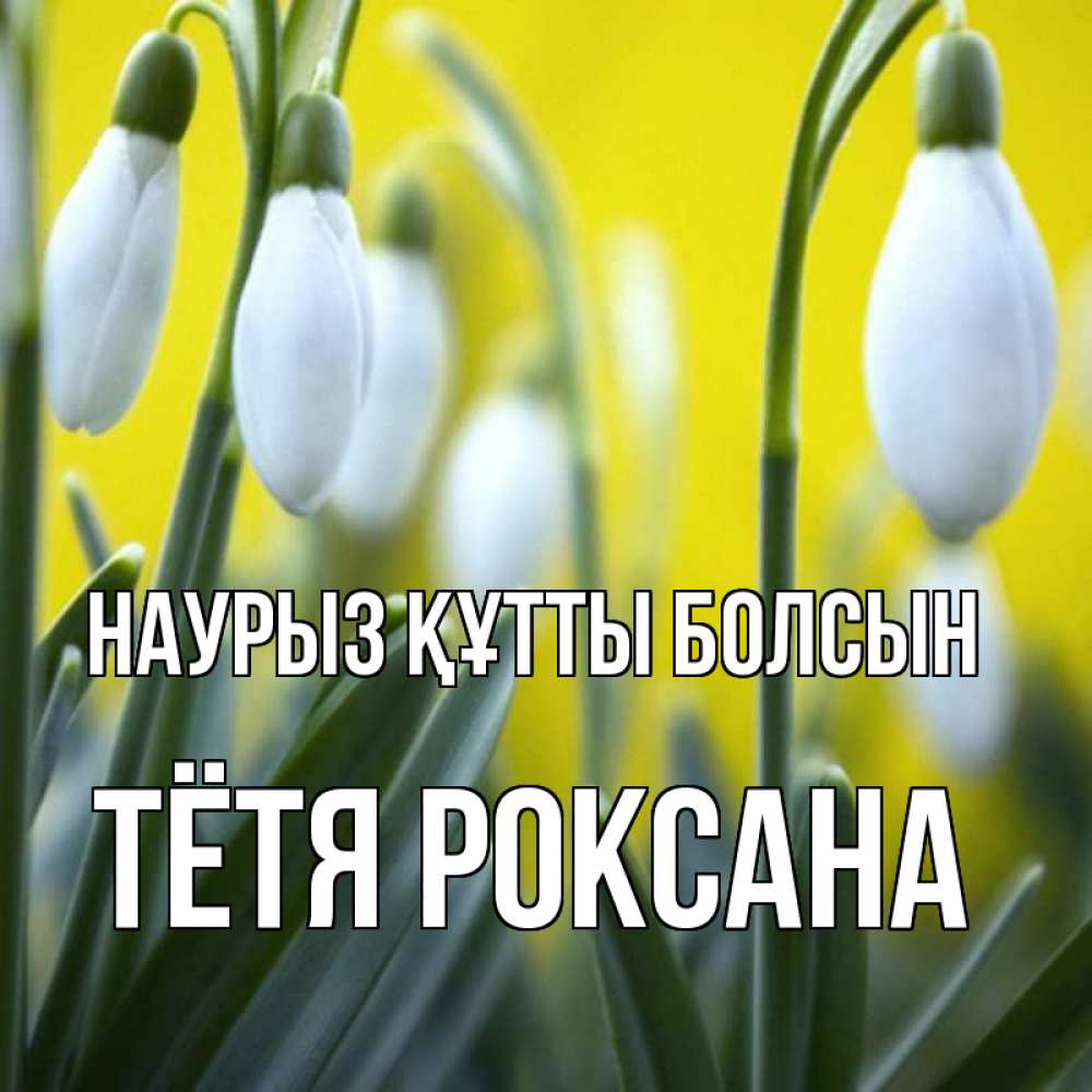 Открытка на каждый день с именем, Тётя-Роксана Наурыз құтты болсын весенние цветы Прикольная открытка с пожеланием онлайн скачать бесплатно 