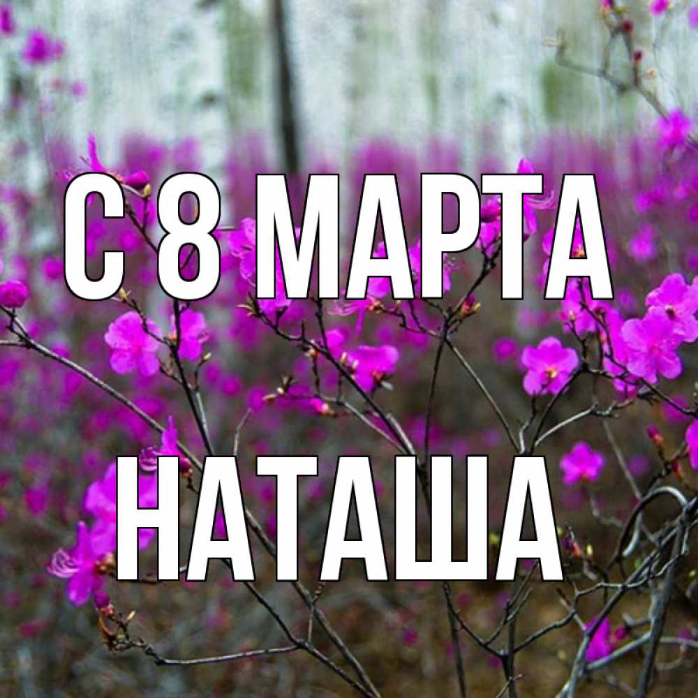 Открытка на каждый день с именем, наташа С 8 марта дикие цветы Прикольная открытка с пожеланием онлайн скачать бесплатно 