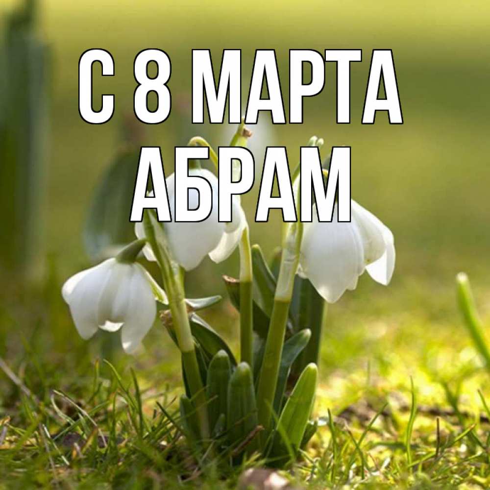 Открытка на каждый день с именем, Абрам С 8 МАРТА ранние цветы 2 Прикольная открытка с пожеланием онлайн скачать бесплатно 