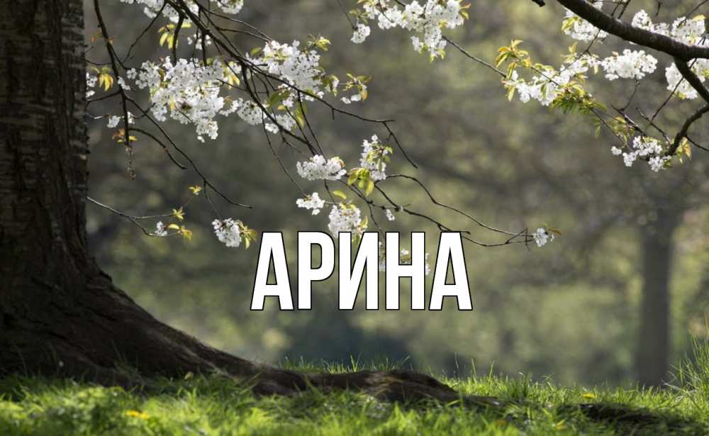 Открытка на каждый день с именем, Арина Главная С 1 мая Прикольная открытка с пожеланием онлайн скачать бесплатно 