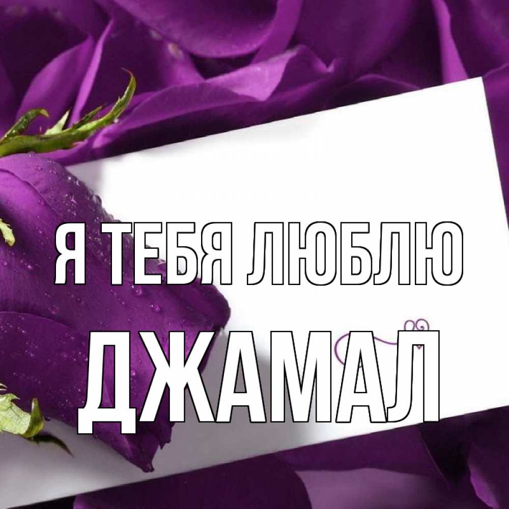 Открытка на каждый день с именем, Джамал Я тебя люблю роза Прикольная открытка с пожеланием онлайн скачать бесплатно 