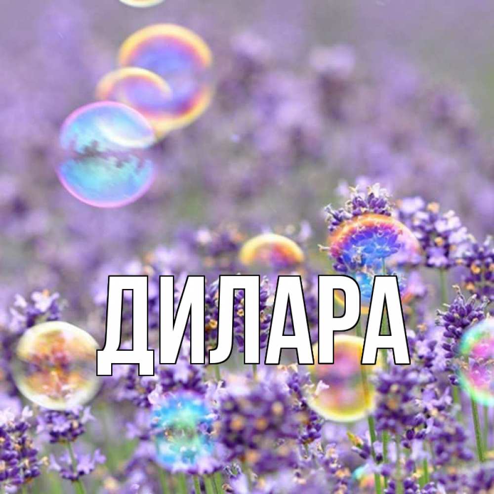 Открытка на каждый день с именем, Дилара Главная цветы Прикольная открытка с пожеланием онлайн скачать бесплатно 