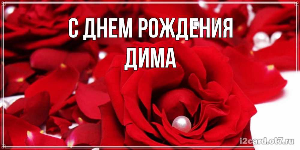Открытка на каждый день с именем, Дима С днем рождения роза с жемчужиной на открытке для любимых Прикольная открытка с пожеланием онлайн скачать бесплатно 