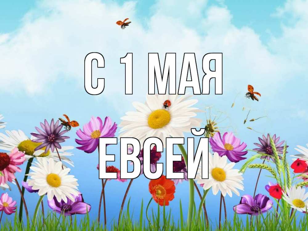 Открытка на каждый день с именем, Евсей С 1 мая С 1 мая Прикольная открытка с пожеланием онлайн скачать бесплатно 