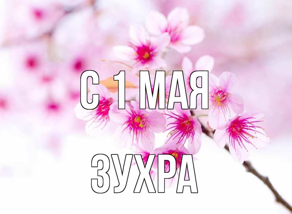 Открытка на каждый день с именем, Зухра С 1 мая С 1 мая 2 Прикольная открытка с пожеланием онлайн скачать бесплатно 