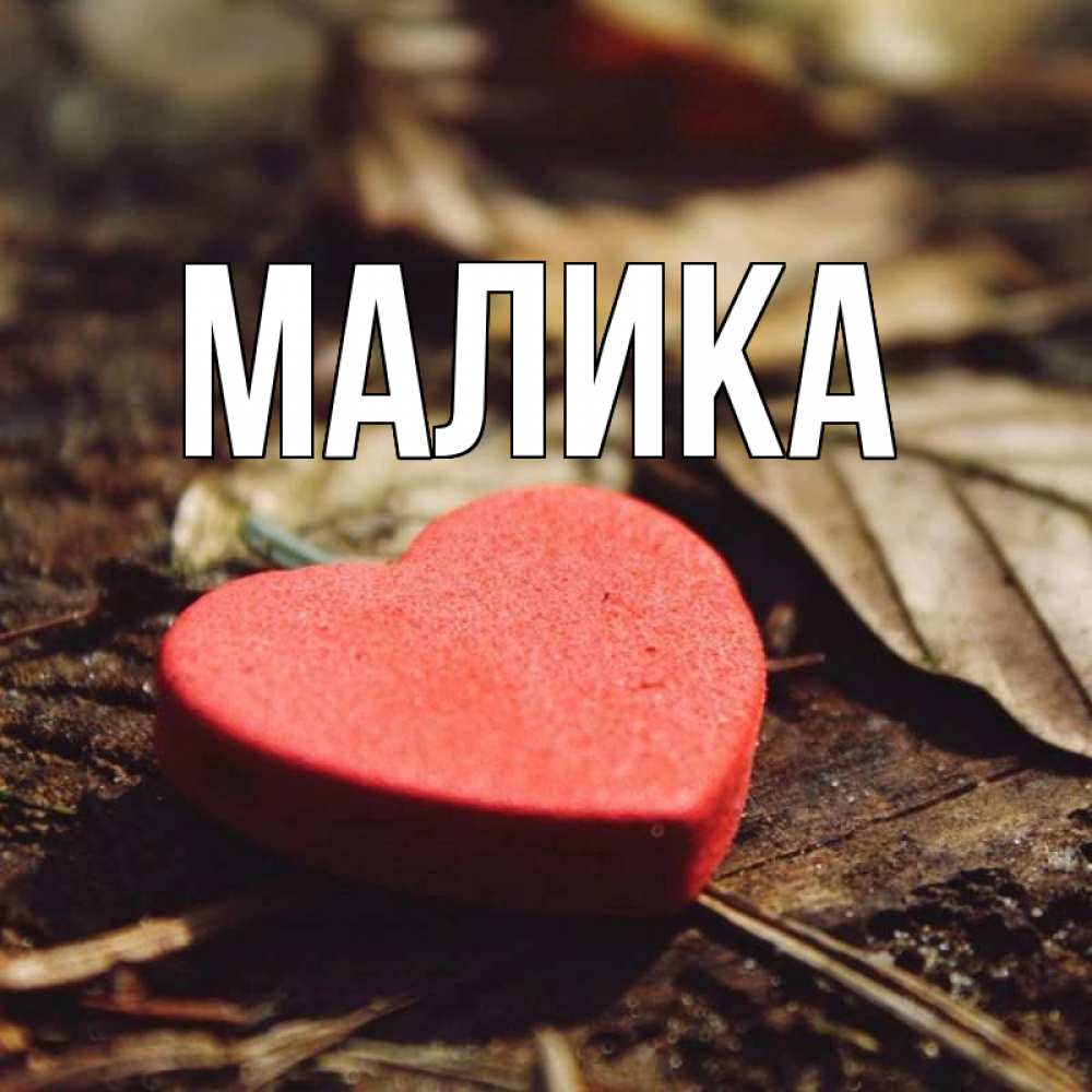 Открытка на каждый день с именем, Малика Главная листья деревье 4 Прикольная открытка с пожеланием онлайн скачать бесплатно 