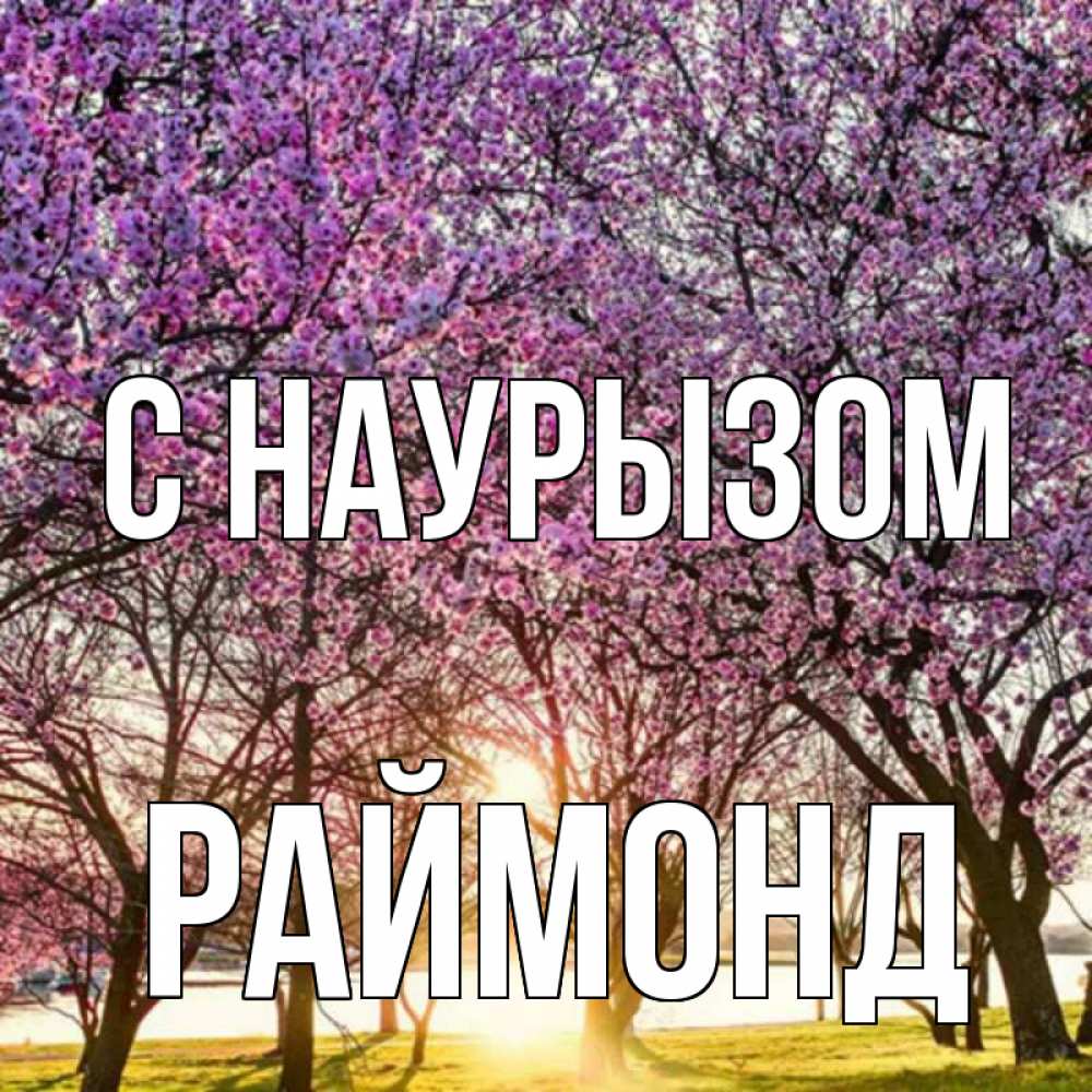 Открытка на каждый день с именем, Раймонд С наурызом праздник весны наурыз Прикольная открытка с пожеланием онлайн скачать бесплатно 
